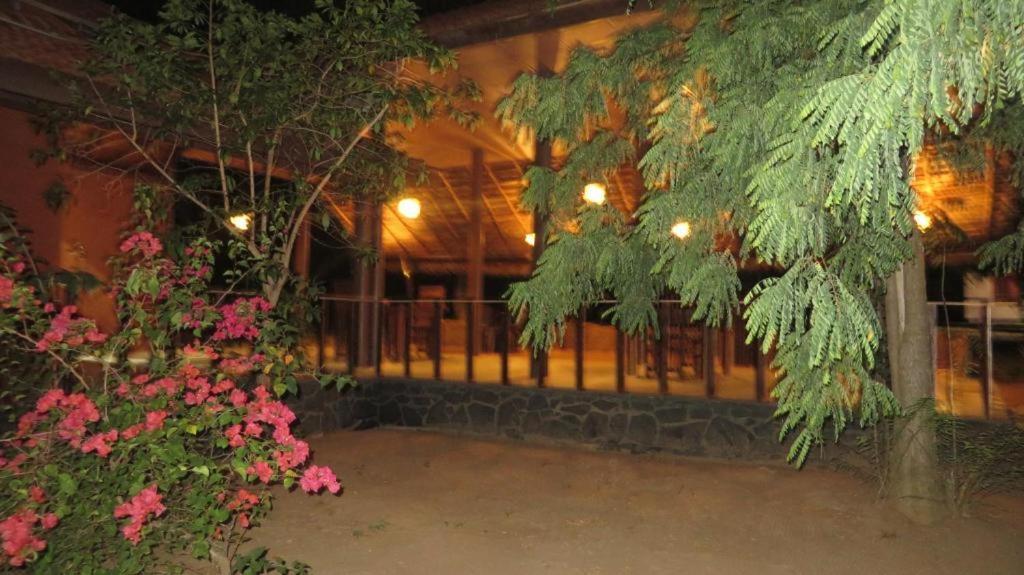 Turtles View Resort Тангале Екстериор снимка